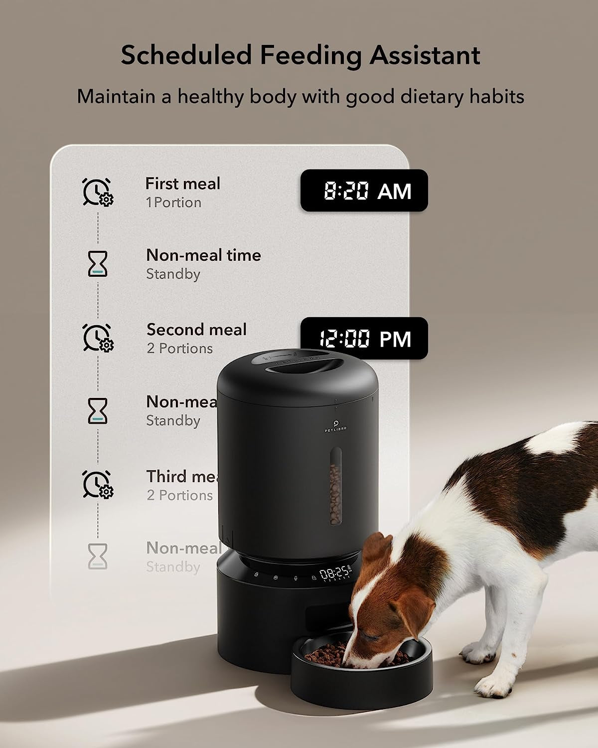 Automatic Pet Feeder with Timer, 4L Capacity, Low Food and Motion Alerts for Cats and Dogs