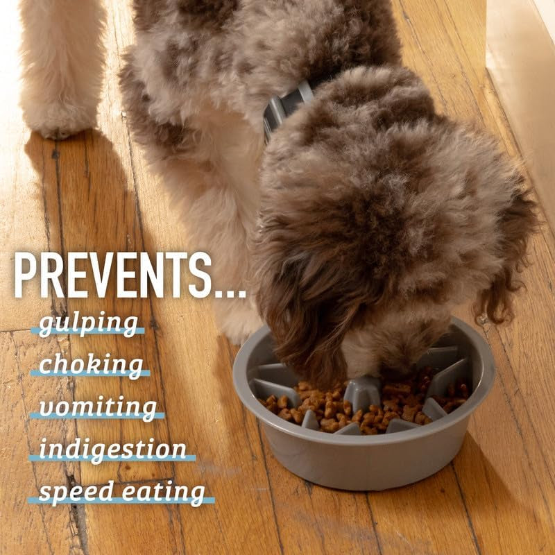 Slow Feeder Dog Bowls - 2 Cup, Puzzle Dog Food Bowl with Feeder Holes, Fits into Elevated Pet Feeders, Slow Eating for Large, Medium & Small Sized Breeds, Gray